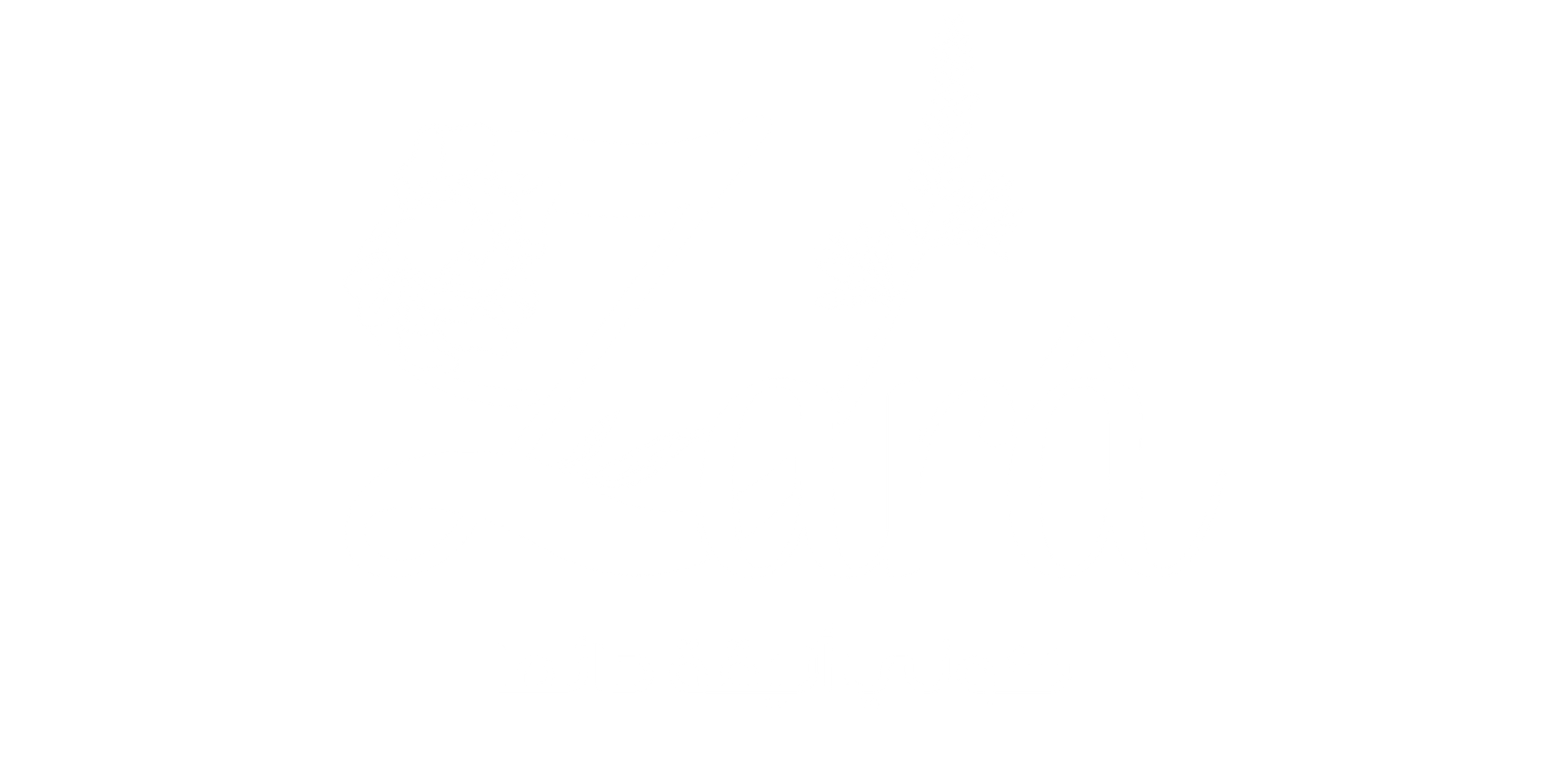 Lady Zara